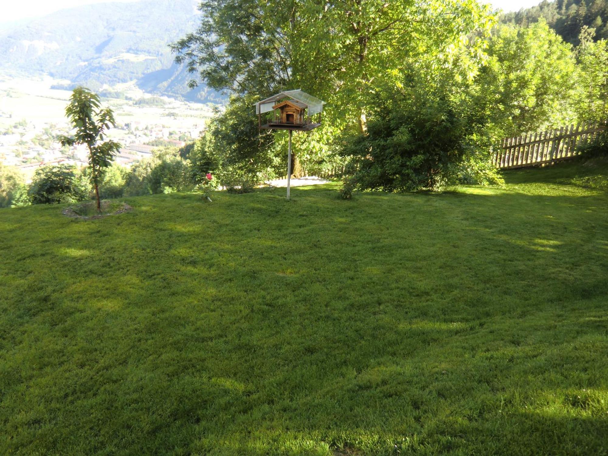 Alpenblick Bed & Breakfast فيبيتينو المظهر الخارجي الصورة
