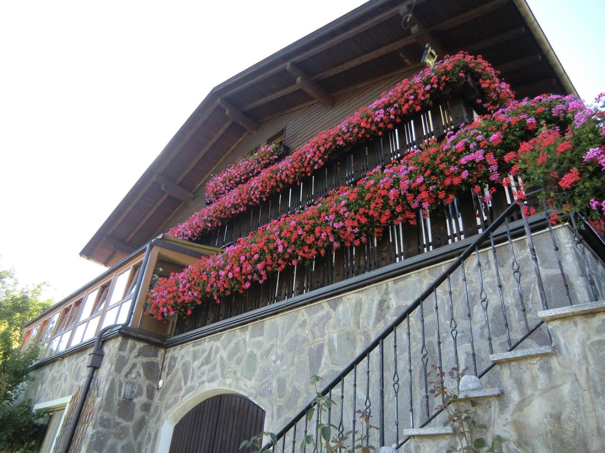 Alpenblick Bed & Breakfast فيبيتينو المظهر الخارجي الصورة