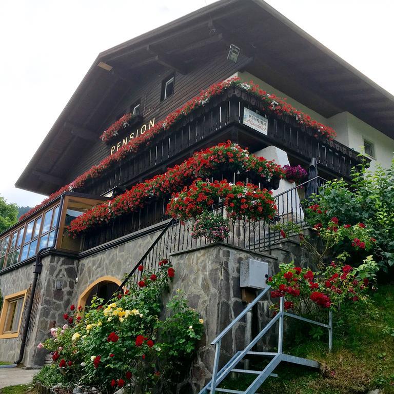Alpenblick Bed & Breakfast فيبيتينو المظهر الخارجي الصورة